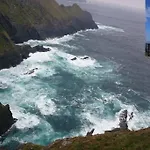 Skellig View Bluebell Rose & The Kerry Cliffs