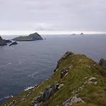 Skellig View Bluebell Rose & The Kerry Cliffs *