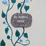 Skellig View Bluebell Rose & The Kerry Cliffs * ポートマギー