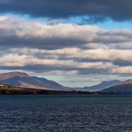 Skellig View Bluebell Rose & The Kerry Cliffs *