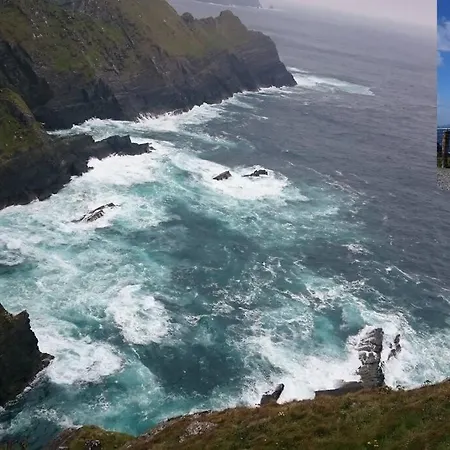 Skellig View Bluebell Rose & The Kerry Cliffs