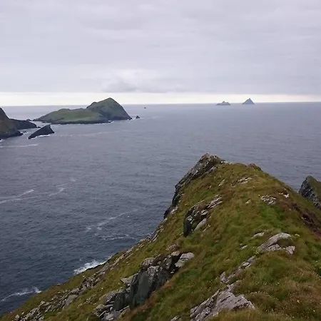 Skellig View Bluebell Rose & The Kerry Cliffs *