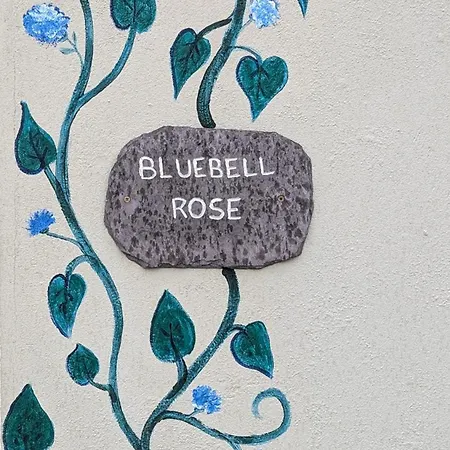Skellig View Bluebell Rose & The Kerry Cliffs * Portmagee