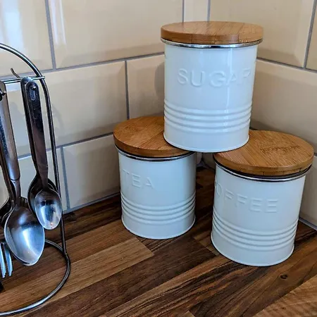 Skellig View Bluebell Rose & The Kerry Cliffs *