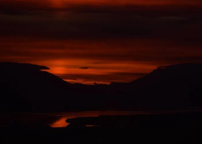 Skellig View Bluebell Rose & The Kerry Cliffs * Portmagee
