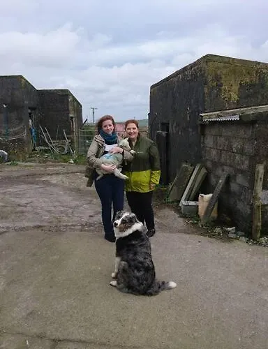 Skellig View Bluebell Rose & The Kerry Cliffs *