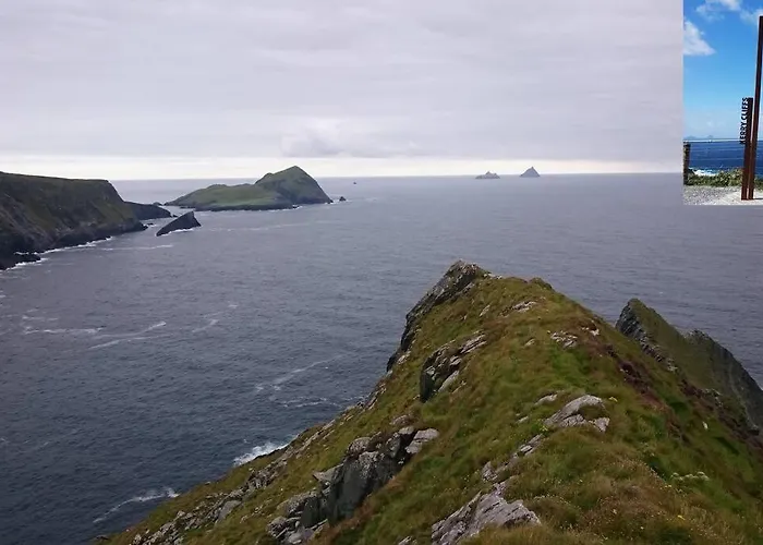 Skellig View Bluebell Rose & The Kerry Cliffs *
