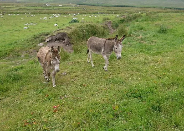 Apartman Skellig View Bluebell Rose & The Kerry Cliffs Portmagee