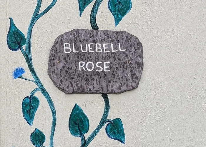 Skellig View Bluebell Rose & The Kerry Cliffs * Portmagee